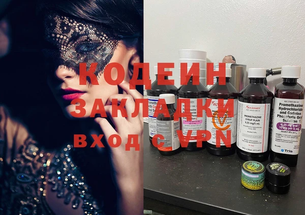 крисы Абаза