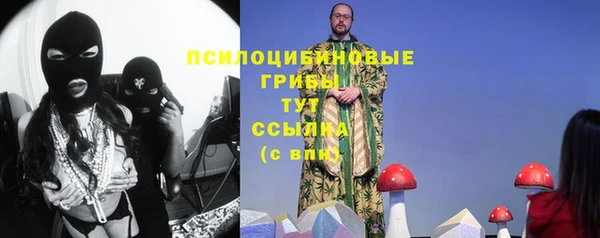 крисы Абаза
