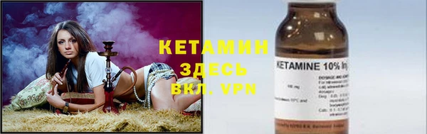 крисы Абаза