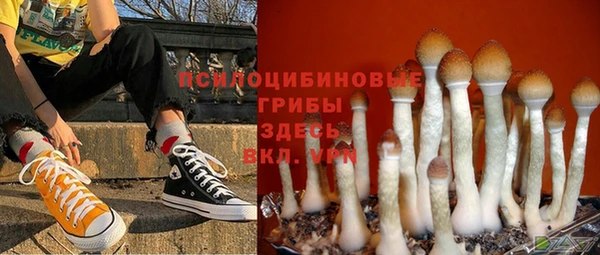 Альфа ПВП Абдулино