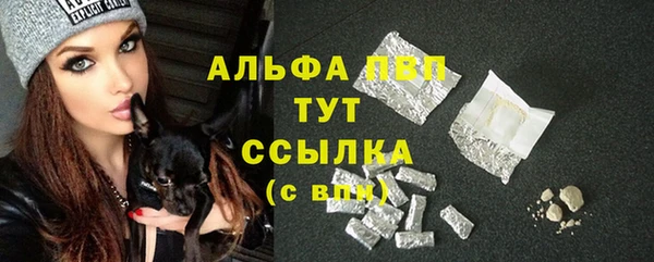 крисы Абаза