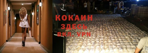 ешки Алзамай