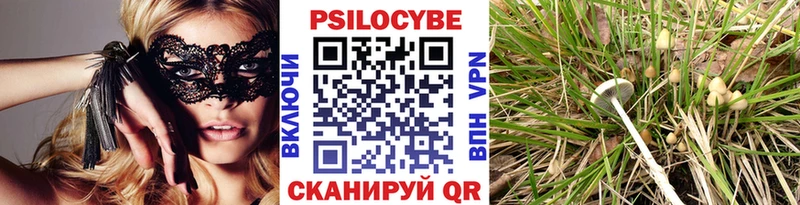 Галлюциногенные грибы мухоморы  сколько стоит  Абаза 